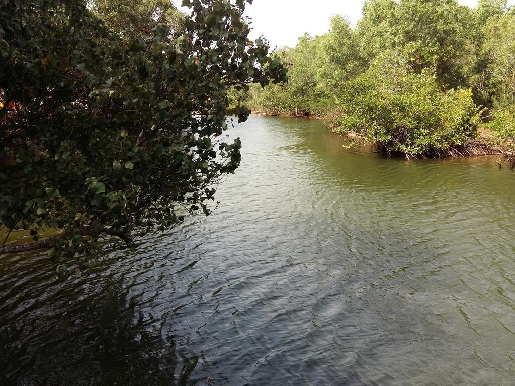 Mangroves & More @ Cambodia Sihanoukville Buitenkant foto