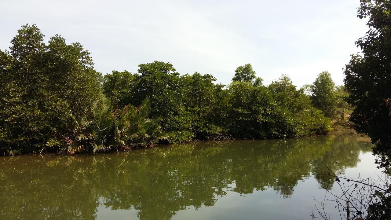 Mangroves & More @ Cambodia Sihanoukville Buitenkant foto